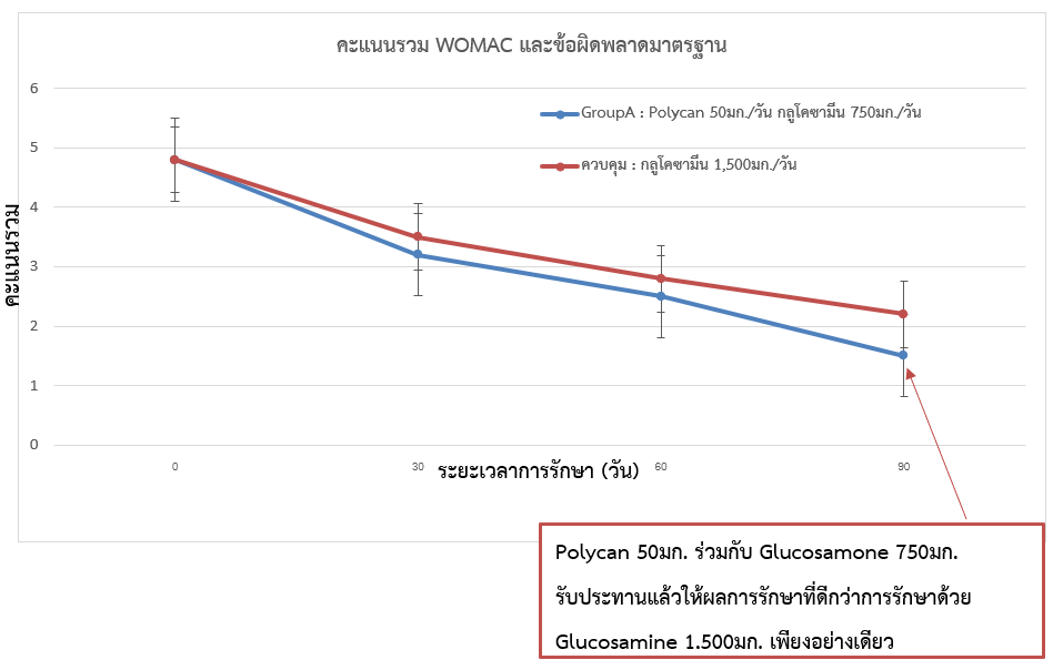 ฟังก์ชั่นของ POLYCAN – JOINT