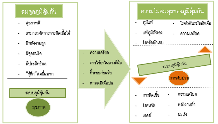 ความไม่สมดุลของภูมิคุ้มกันและภูมิคุ้มกันที่อ่อนแอ เป็นสาเหตุสำคัญของการเกิดโรค